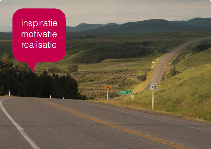 Rationele sturing is dominant geworden.